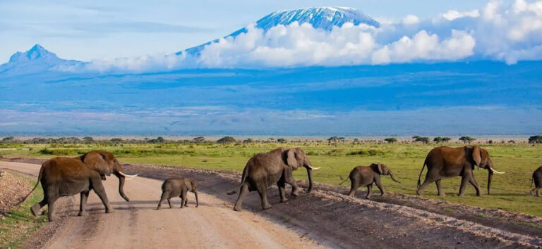 3 Days Tsavo East And Amboseli National Park