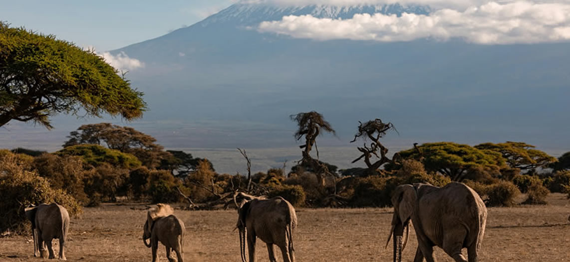 Read more about the article 4 Days Tsavo West, Amboseli & Tsavo East National Park