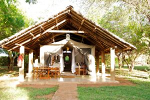 Read more about the article 5 Days: Tsavo East, west Voyager Ziwani and Amboseli safari